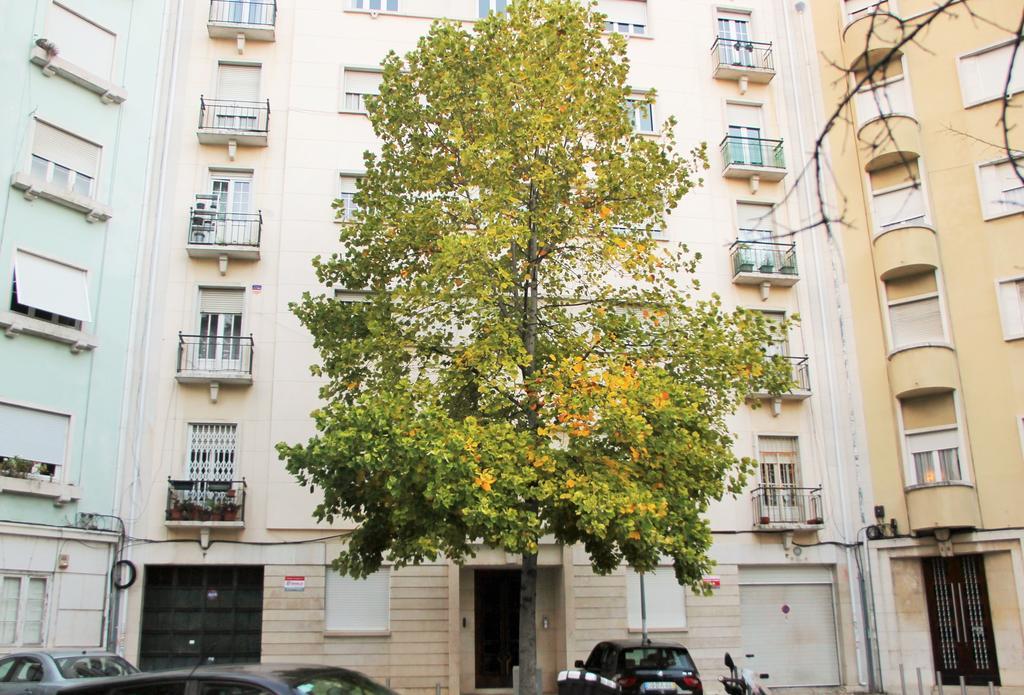 Casa Da Praceta Apartment Lisbon Exterior photo